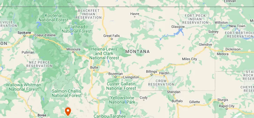 NovoTHOR Therapy Near You in Missoula, MT. Chiropractor For Red Light Therapy.